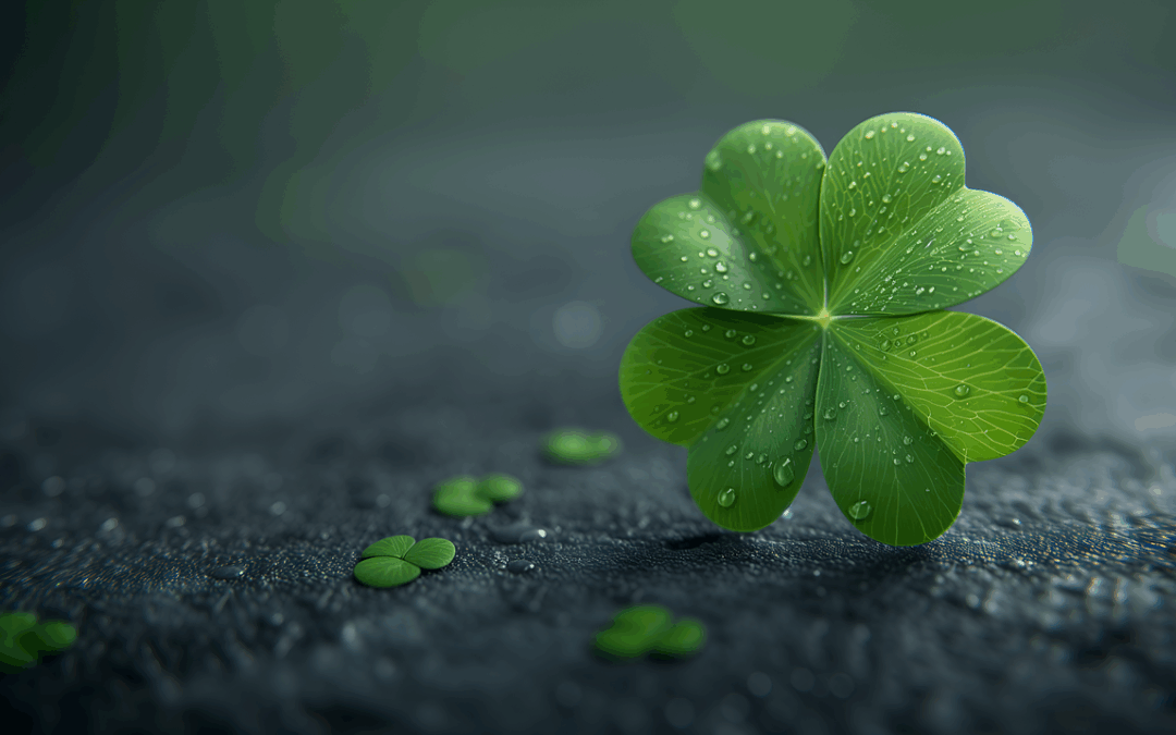 Czym jest Twój “ogon”?