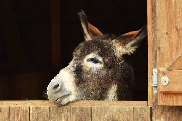 Od krytyki do paraliżu
