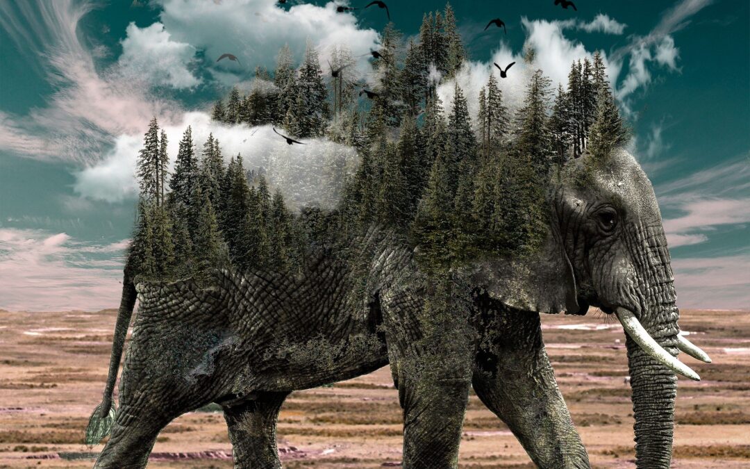 Przełamywanie szklanego sufitu w sprzedaży